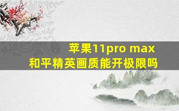 苹果11pro max和平精英画质能开极限吗